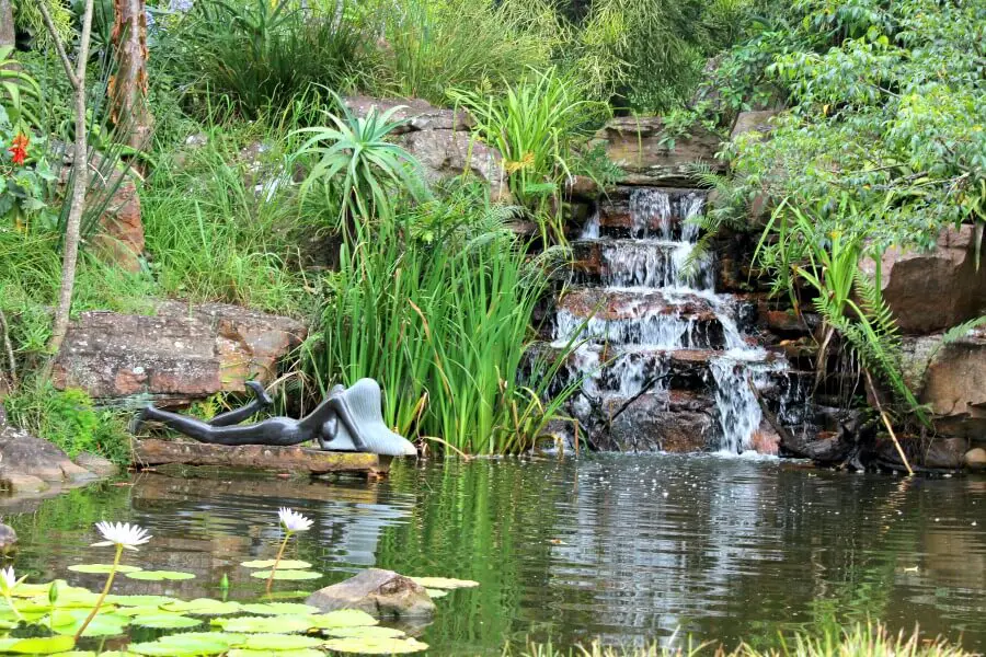 Makaranga Garden Lodge & Enchanted Gardens. South African travel adventures. Coffee Shop Desserts. Kloof, Durban | berrysweetlife.com