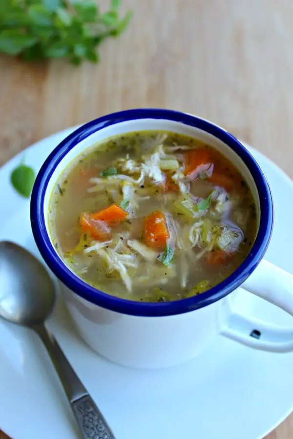 Healthy Homemade Celery Carrot Chicken Soup - Berry Sweet Life