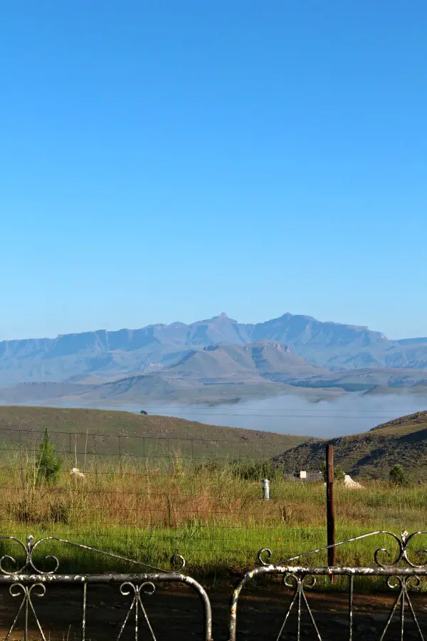 The Underberg Fields of Gold. My stay in the foothills of the great Drakensberg Mountains, South Africa | berrysweetlife.com