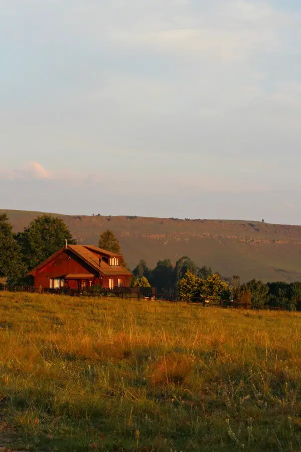 The Underberg Fields of Gold. My stay in the foothills of the great Drakensberg Mountains, South Africa | berrysweetlife.com