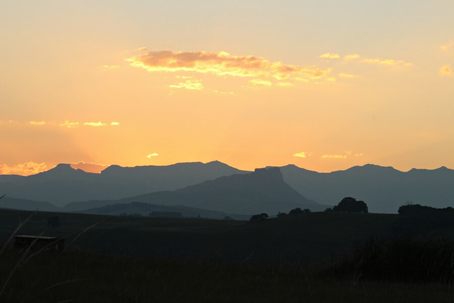 The Underberg Fields of Gold. My stay in the foothills of the great Drakensberg Mountains, South Africa | berrysweetlife.com