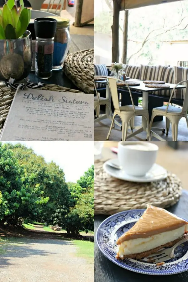 A list of the 14 Best Garden Coffee Shops In Durban, Hillcrest, Bothas Hill and Salt Rock! | berrysweetlife.com