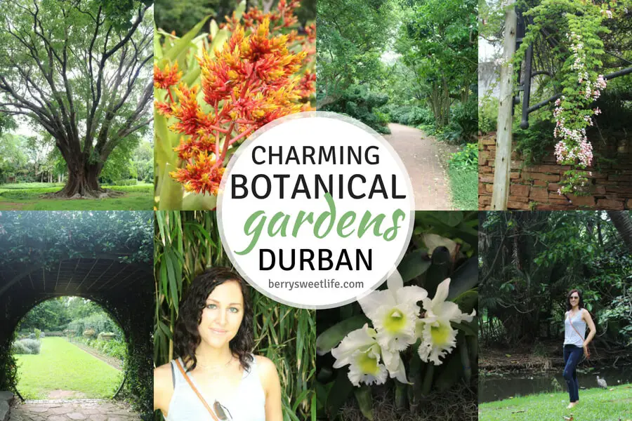 Charming Botanical Gardens Durban | berrysweetlife.com