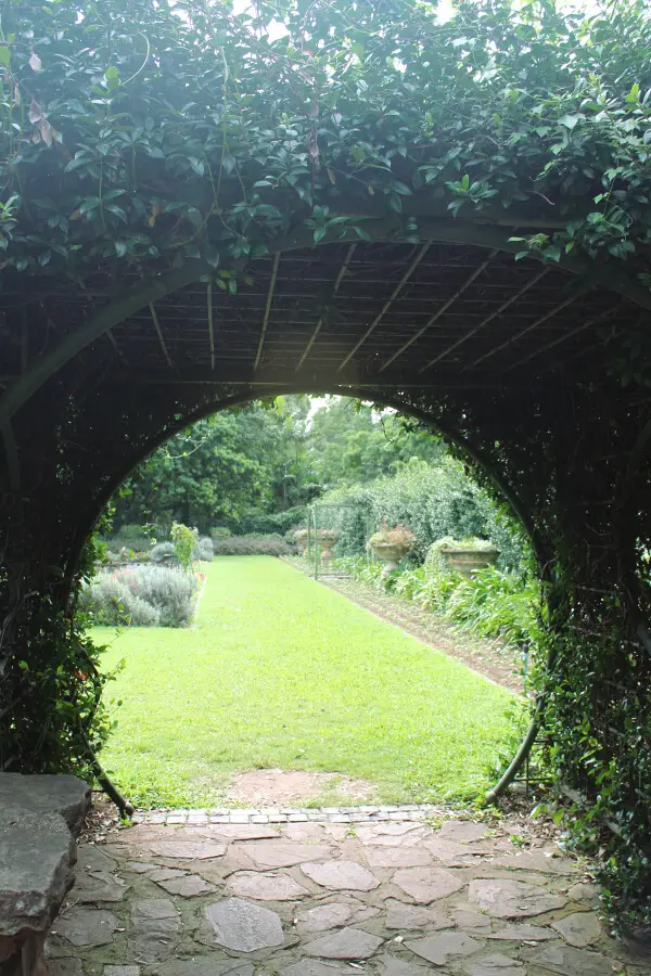 Charming Botanical Gardens Durban | berrysweetlife.com