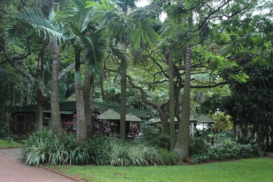 Charming Botanical Gardens Durban | berrysweetlife.com