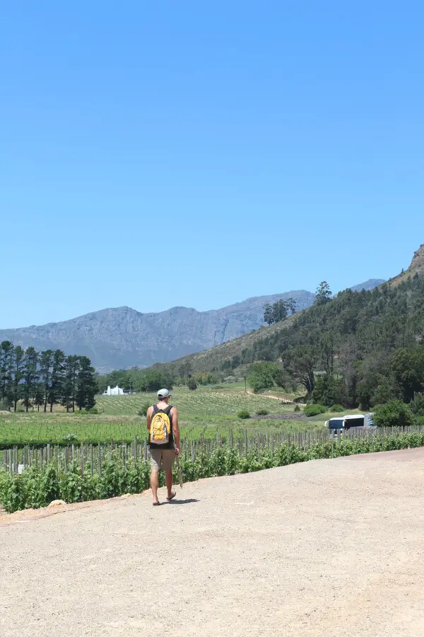 Taking The Wine Tram Tour In Cape Town - experience picturesque vineyards, breath-taking scenery, world-class cuisine, fine wines and a 300 year history! | berrysweetlife.com