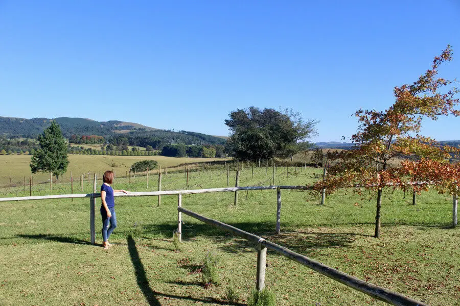 Inverness Farm Cottages are charming self-catering cottages in the Midlands Meander just 80 minutes from Durban and 10 minutes from Abingdon Wine Estate | berrysweetlife.com