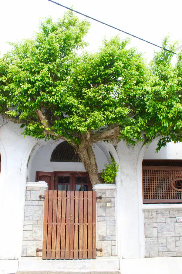 The Lovely Doors Of Galle Fort | berrysweetlife.com