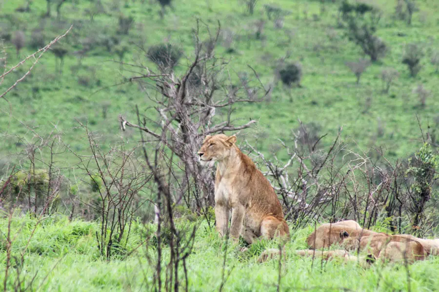 Rhino River Lodge | berrysweetlife.com