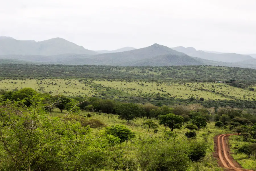 Rhino River Lodge | berrysweetlife.com