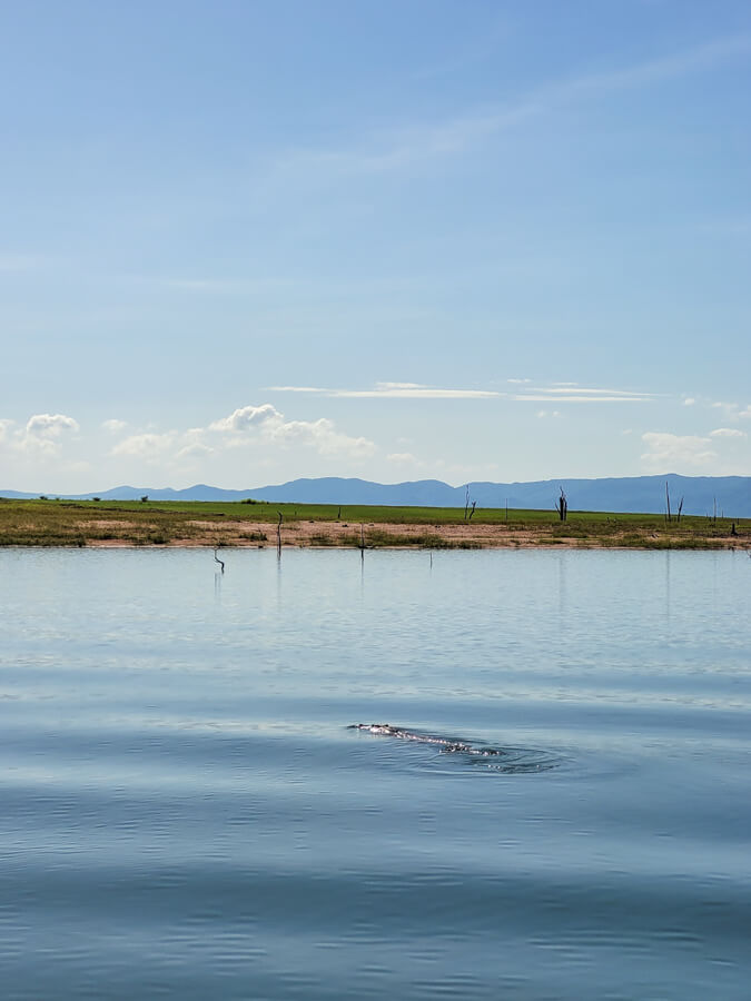 Spurwing Island Kariba | berrysweetlife.com