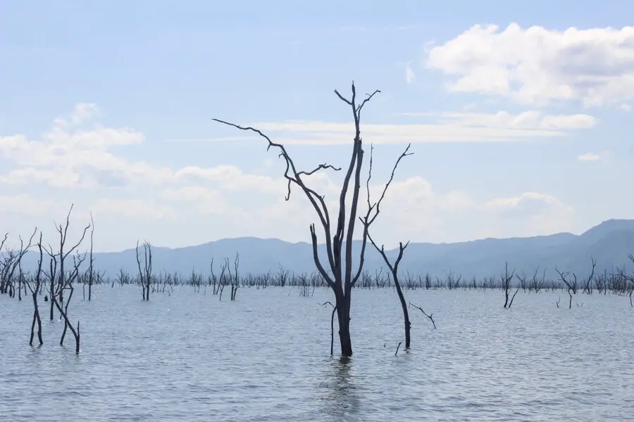 Spurwing Island Kariba | berrysweetlife.com