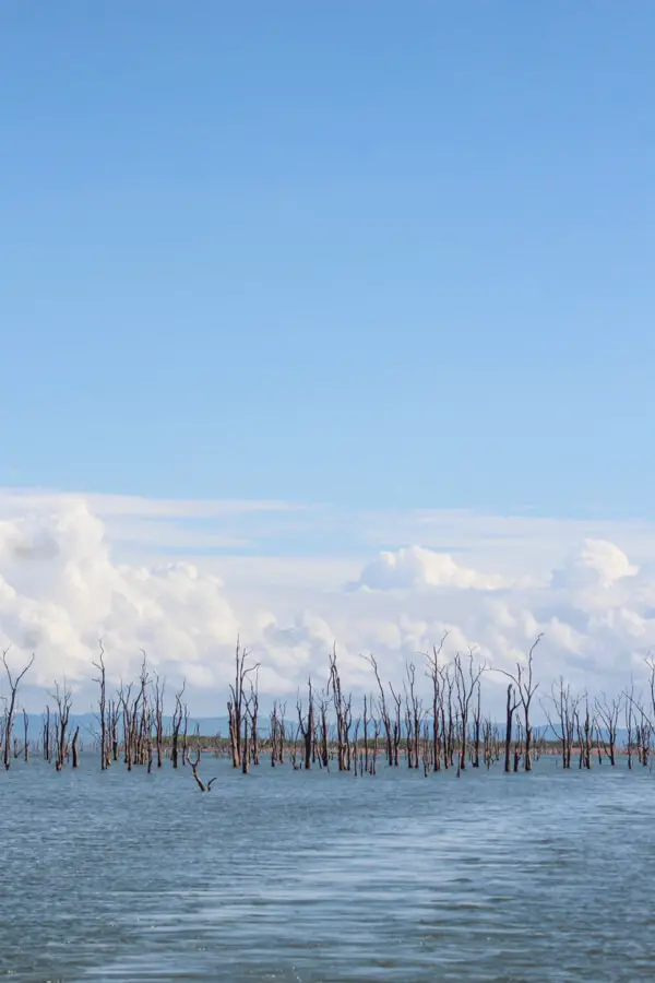 Spurwing Island Kariba | berrysweetlife.com