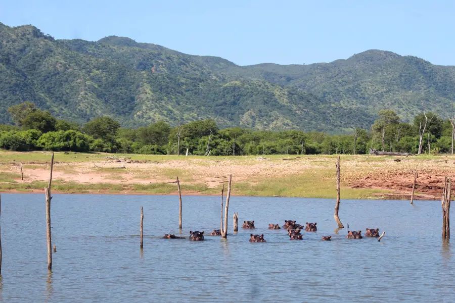 Spurwing Island Kariba | berrysweetlife.com