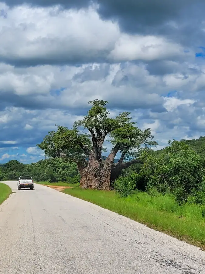 Spurwing Island Kariba | berrysweetlife.com