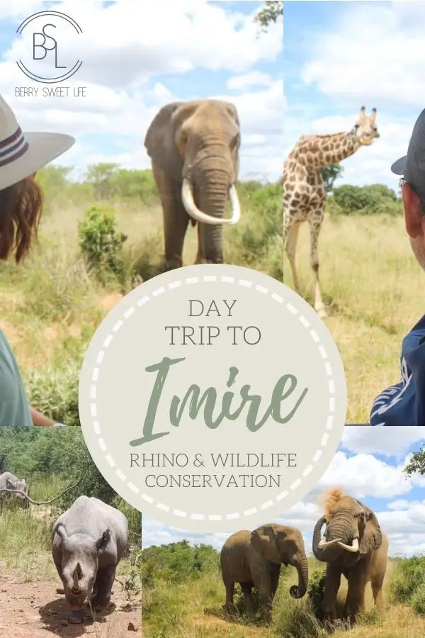 Imire Rhino & Wildlife Conservation | berrysweetlife.com