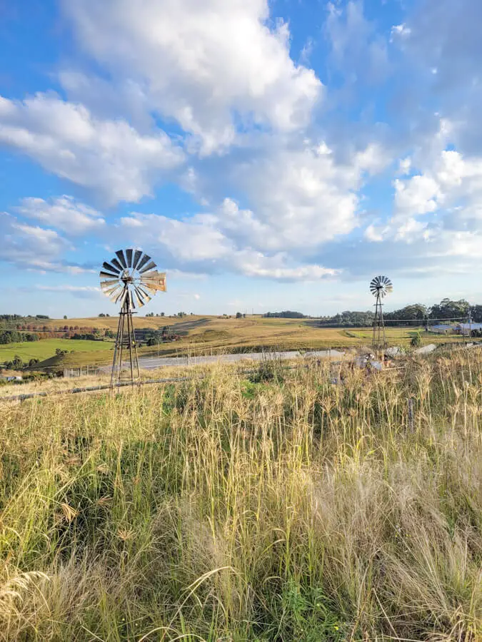 Brahman Hills | berrysweetlife.com