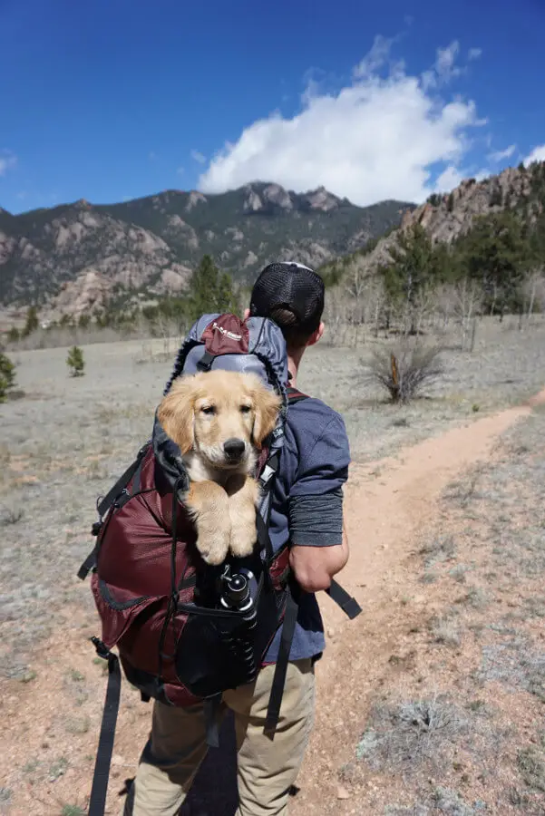 Backpack