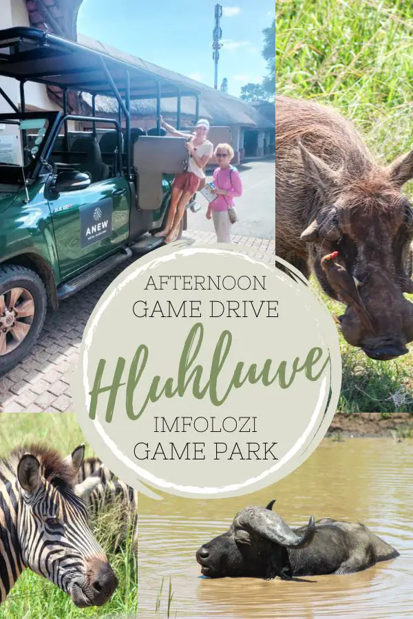 Hluhluwe Game Drive | berrysweetlife.com