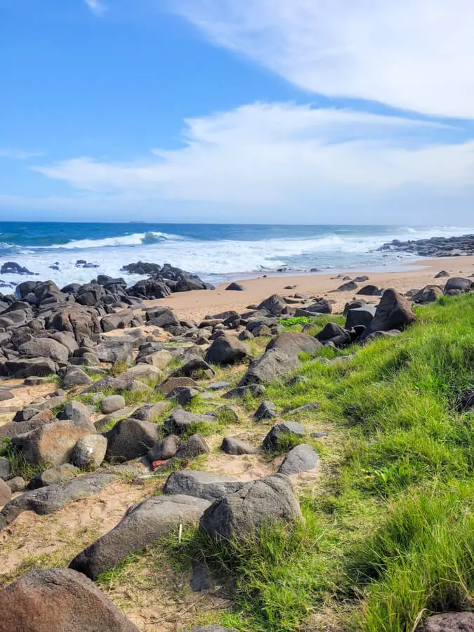 Ocean and grass