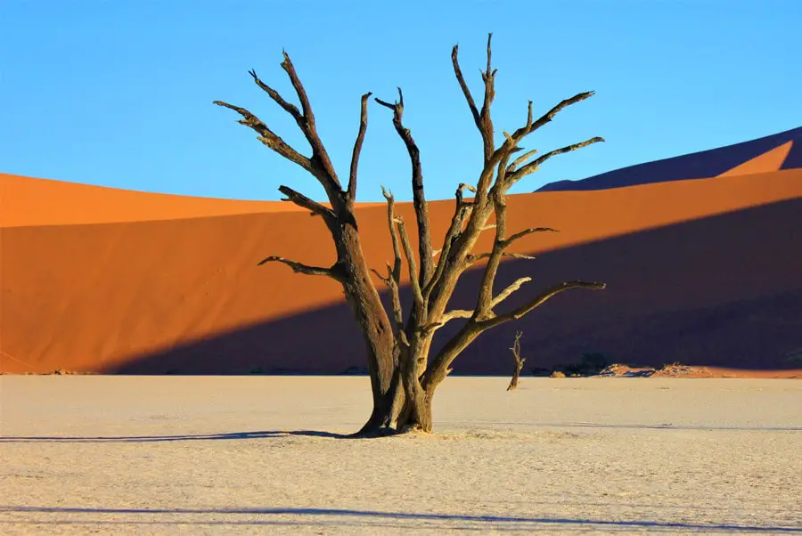 Namib desert